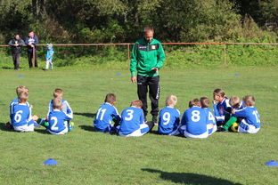 华体会入口-《英雄联盟》比赛战术分析:强队的胜利秘诀,英雄联盟比赛机制