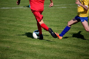 详细阅读:华体会体育-LPL多个队伍重组计划曝光转会期极度混乱,lpl战队转会期 华体会体育-LPL多个队伍重组计划曝光转会期极度混乱,lpl战队转会期